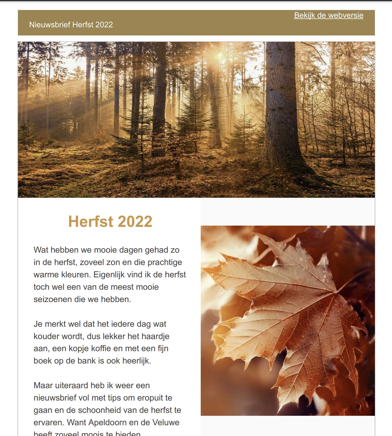 nieuwsbrief-herfst-2022