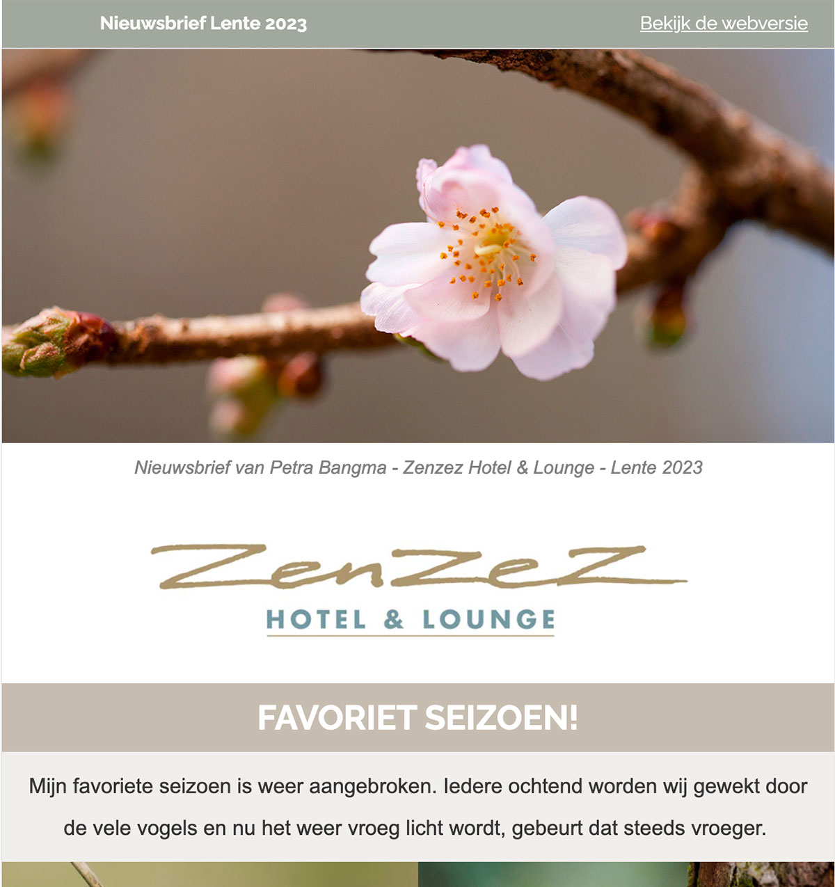 zenzez-nieuwsbrief-lente-2023