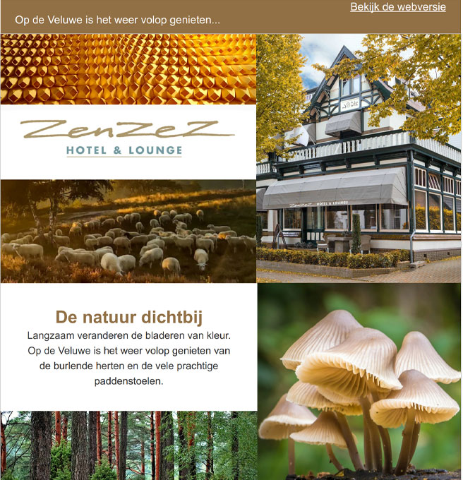 NIEUWSBRIEJF-HERFST-2023