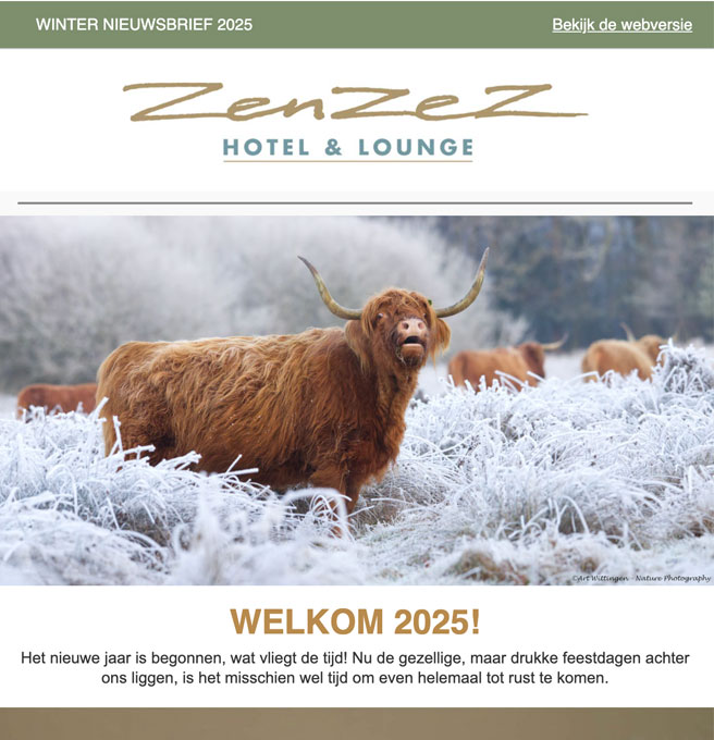 zenzez-nieuwsbrief-winter-2025 ZenZez Nieuwsbrief zomer 2024