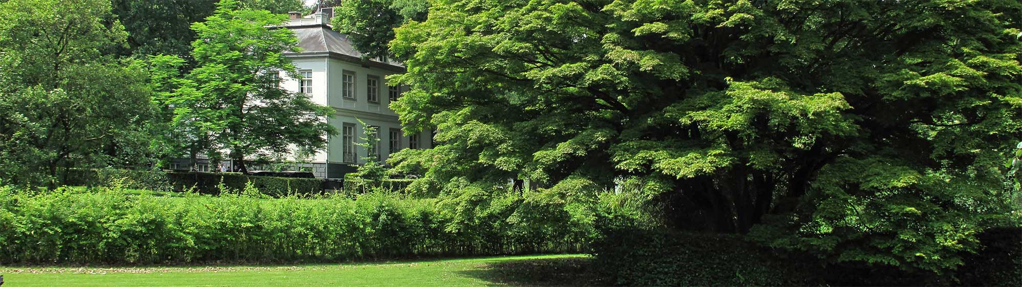 wandelen hond veluwe