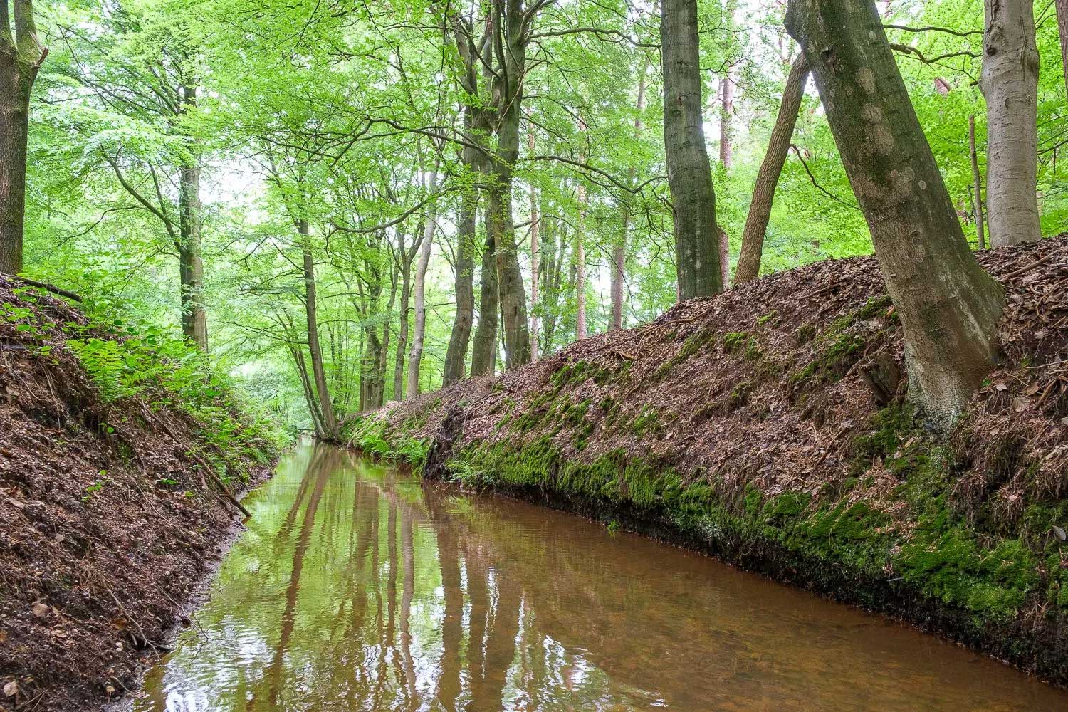 wandelen-op-de-veluwe---Zenzez-hotel